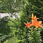 بالقرب من المطار سراييفو